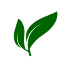 Logo Transparent white background
